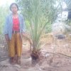โครงการถังขยะเปียกลดโลกร้อน